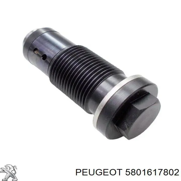 Купити 5801617802 Peugeot/Citroen Натягувач ланцюга ГРМ