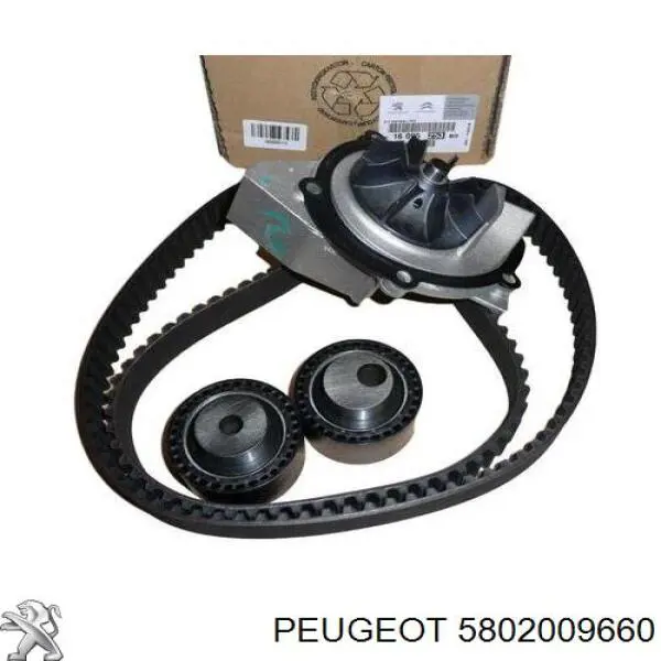 5802009660 Peugeot/Citroen Ланцюг ГРМ, комплект