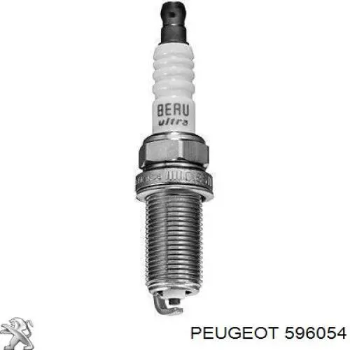 Свічки Peugeot/Citroen 596054