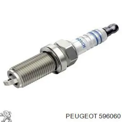 596060 Peugeot/Citroen свіча запалювання