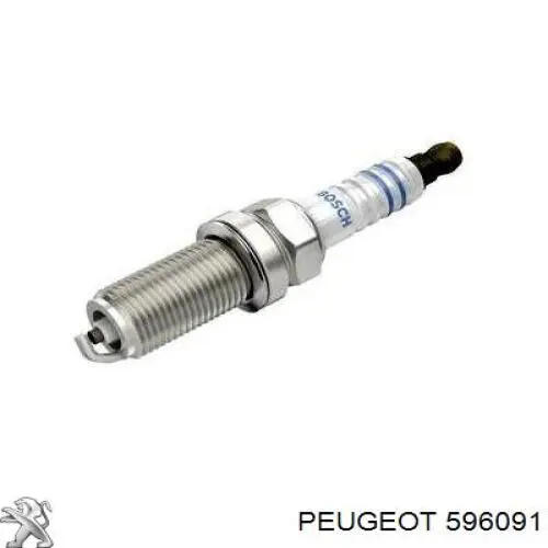 Свічки Peugeot/Citroen 596091