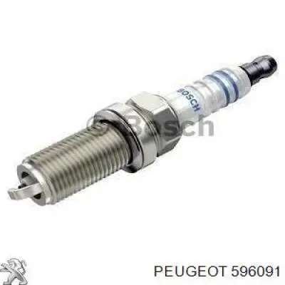 Свічки запалювання 596091 Peugeot/Citroen