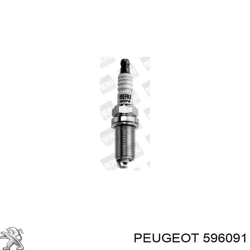 Свічки запалювання 596091 Peugeot/Citroen
