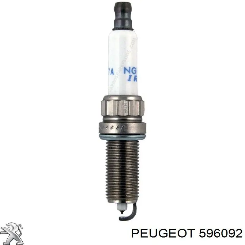 596092 Peugeot/Citroen свіча запалювання