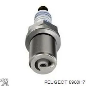 Свічки автомобільні Peugeot/Citroen 5960H7 ціна, від 12.51 USD