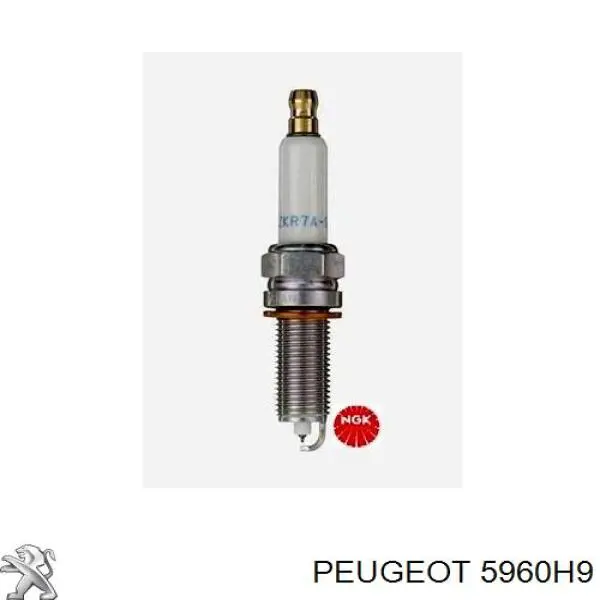 Свічки Peugeot/Citroen 5960H9
