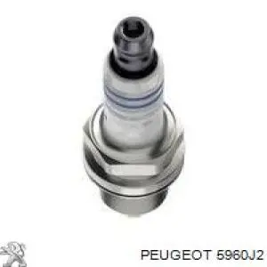 Свічки автомобільні Peugeot/Citroen 5960J2 ціна, від 3.39 USD
