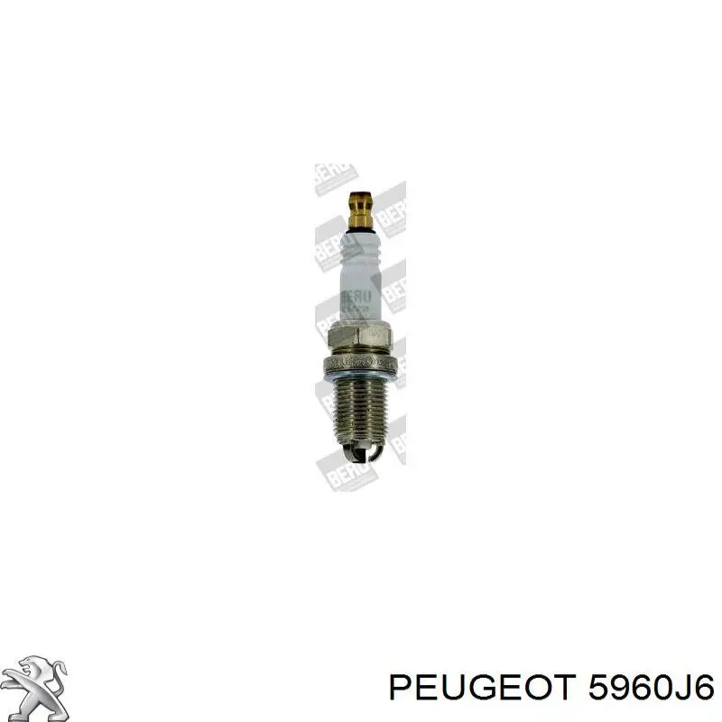 Свічки запалювання 5960J6 Peugeot/Citroen