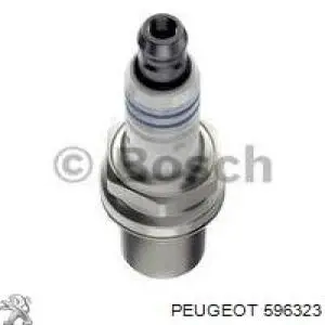 596323 Peugeot/Citroen Свічковий накінечник