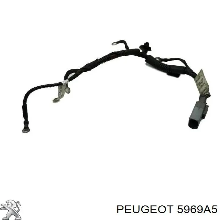 Дріт свічок накалювання Peugeot/Citroen 5969A5 ціна, від 25.34 USD