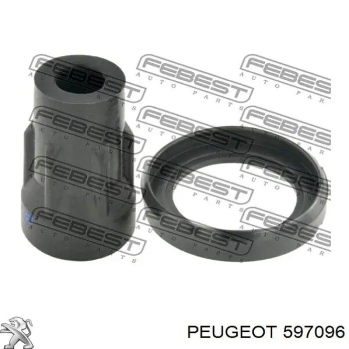 597096 Peugeot/Citroen котушка запалювання