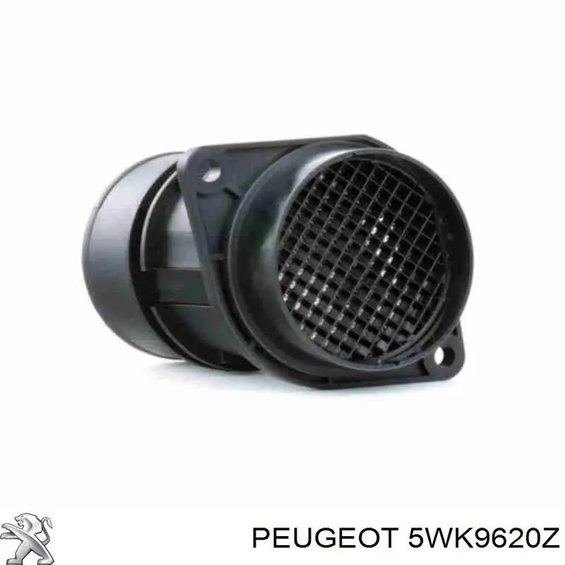 Купити 5WK9620Z Peugeot/Citroen Повітромір