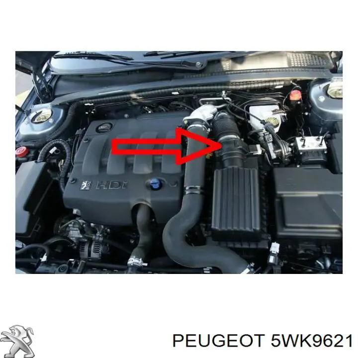 Витратомір повітря Peugeot/Citroen 5WK9621