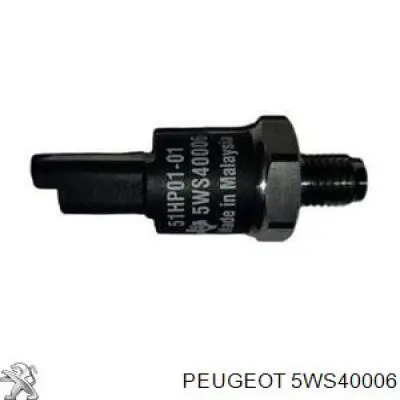 5WS40006 Peugeot/Citroen 