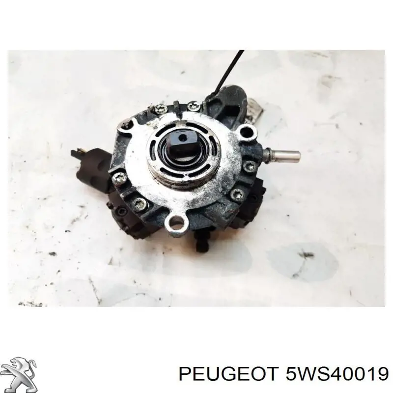 ПНВТ Fiat/Alfa/Lancia 5WS40019