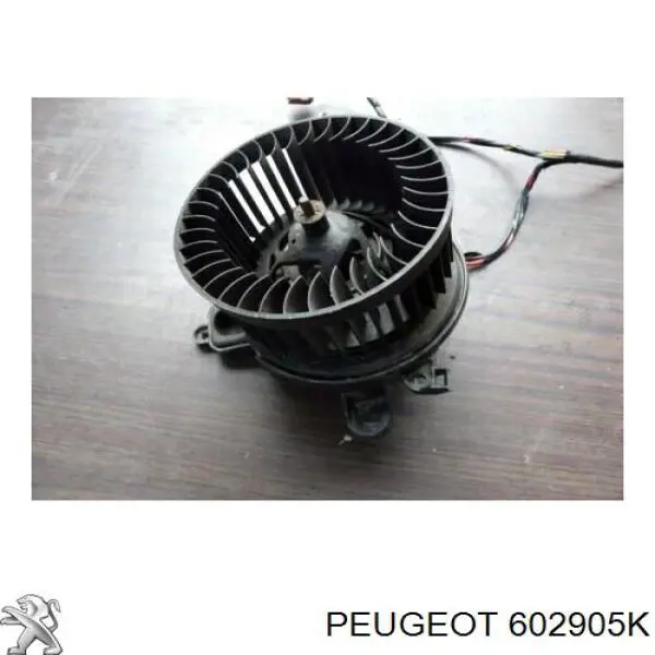 602905K Peugeot/Citroen 