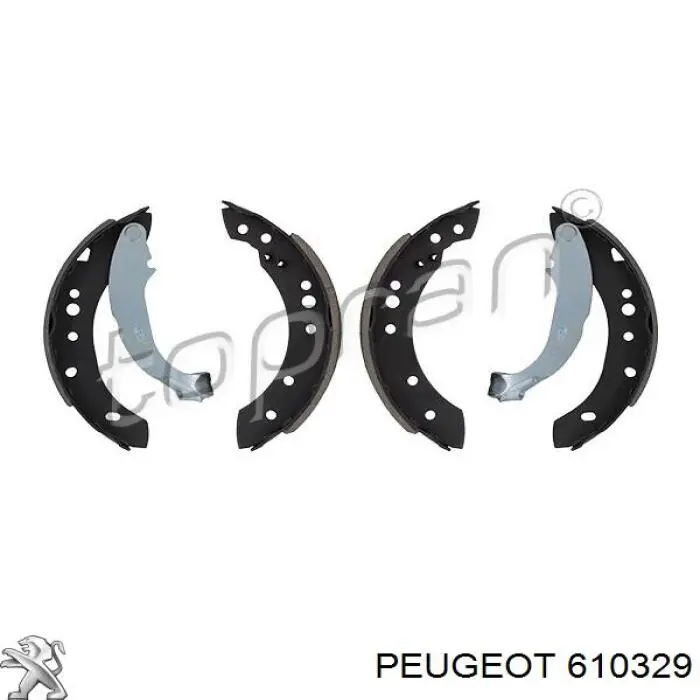 610329 Peugeot/Citroen