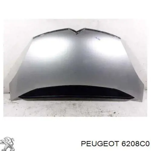 6208C0 Peugeot/Citroen фара ліва