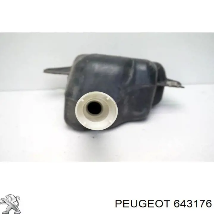 Бачок омивача лобового скла Peugeot/Citroen 643176 ціна, від 16.58 USD