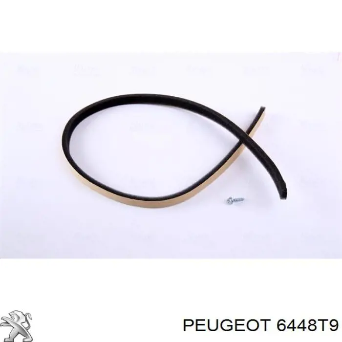Купити 6448T9 Peugeot/Citroen Теплообмінник