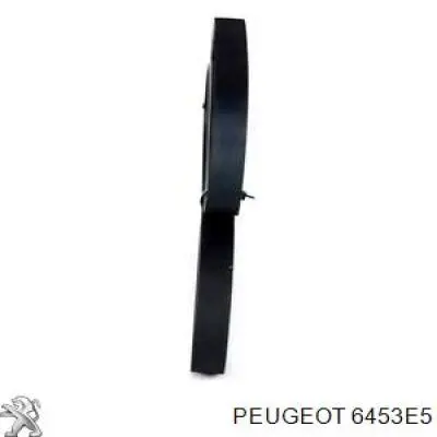 6453E5 Peugeot/Citroen Поліклиновий ремінь