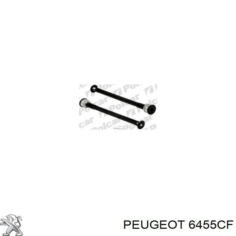 6455CF Peugeot/Citroen ресивер-осушувач кондиціонера