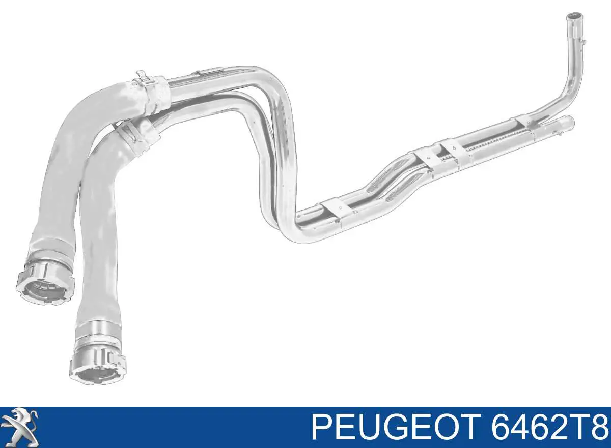 Патрубок грубки Peugeot/Citroen 6462T8 ціна, від 86.69 USD