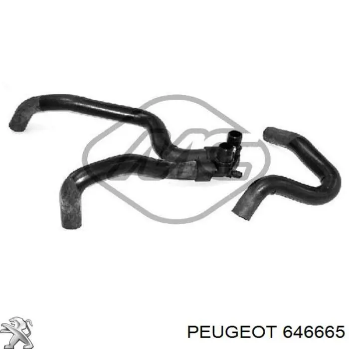 Купити 646665 Peugeot/Citroen Шланг грубки/обігрівача