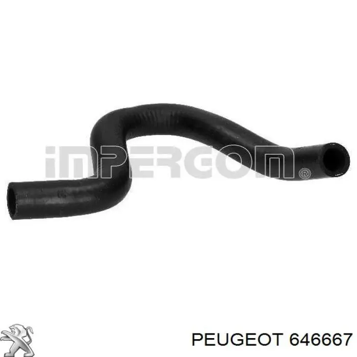 646667 Peugeot/Citroen шланг грубки/обігрівача