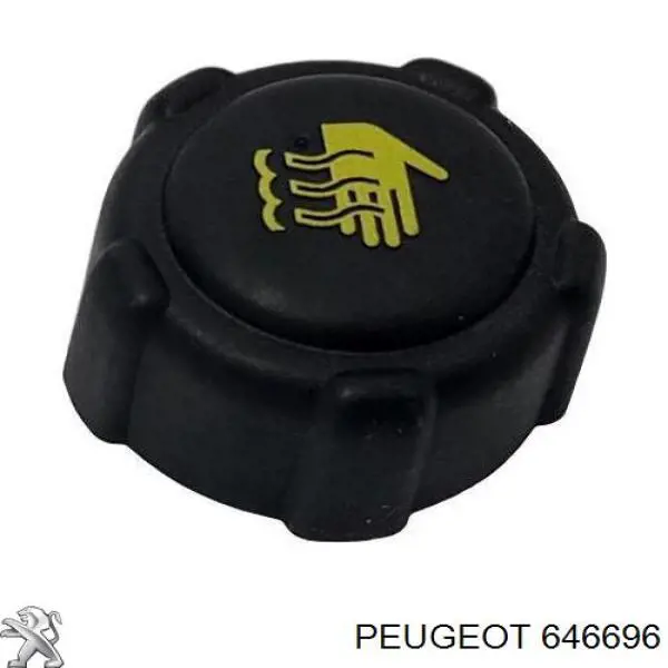  Peugeot/Citroen 646696 ціна, від 94.51 USD