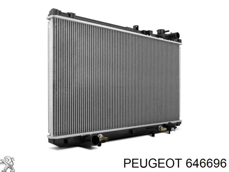 Купити 646696 Peugeot/Citroen 