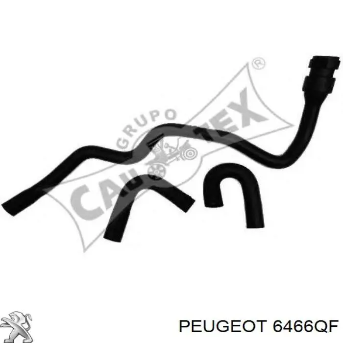 Патрубок грубки Peugeot/Citroen 6466QF ціна, від 38.67 USD