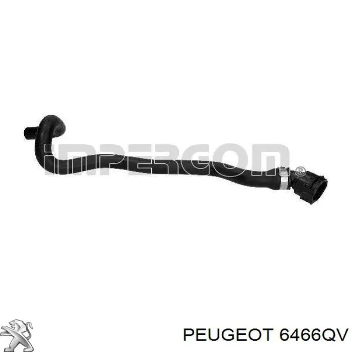 6466QV Peugeot/Citroen 