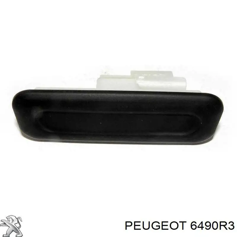Ручка 5-й (3-й) двері зовнішня 6490R3 Peugeot/Citroen