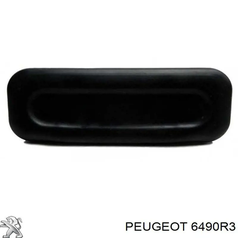 Ручка 5-й (3-й) двері зовнішня Peugeot/Citroen 6490R3
