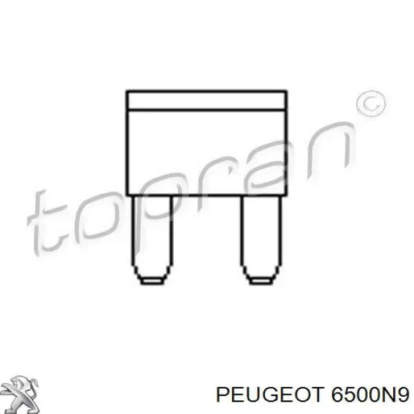  6500N9 Peugeot/Citroen