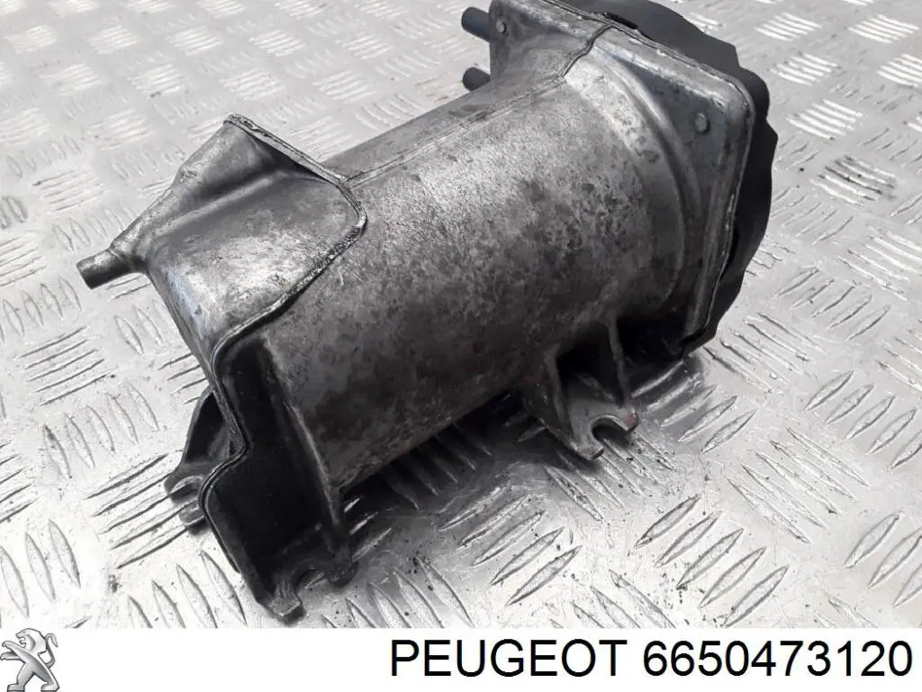 6650473120 Peugeot/Citroen 