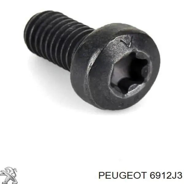 Болт кріплення корзини зчеплення Peugeot/Citroen 6912J3 ціна, від 0.41 USD