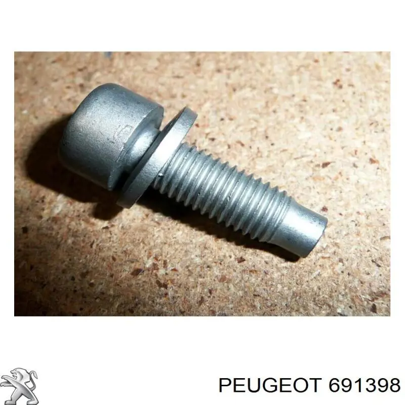 691398 Peugeot/Citroen 