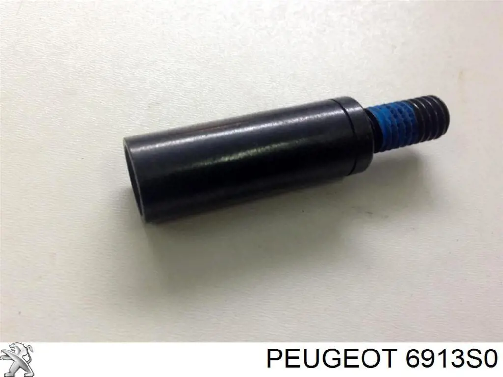 6913S0 Peugeot/Citroen 