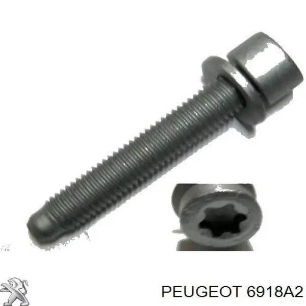 Болт кронштейна подушки двигуна 3637136 Peugeot/Citroen