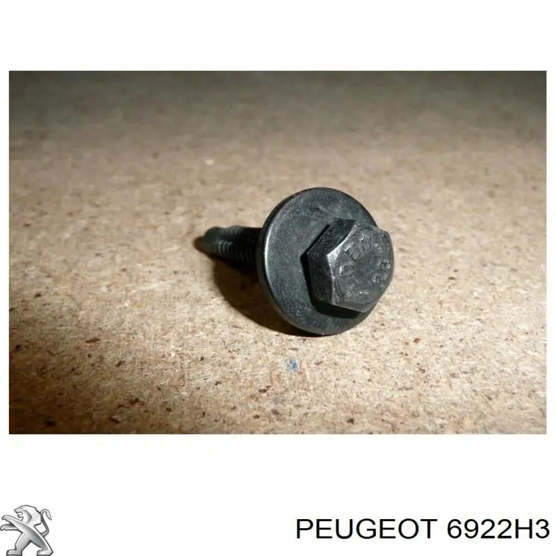 6922H3 Peugeot/Citroen Болт захисту двигуна