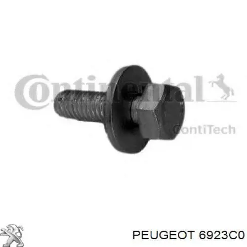 6923C0 Peugeot/Citroen Ремінь ГРМ, комплект