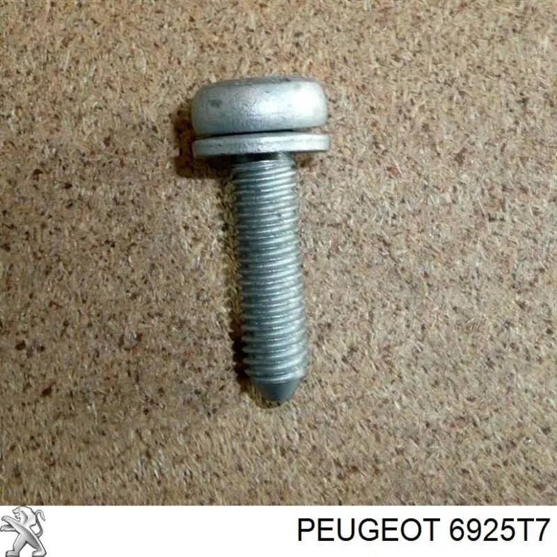 Купити 6925T7 Peugeot/Citroen Супорт гальмівний передній лівий