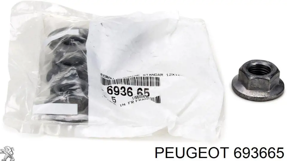 Гайка кріплення задньої балки (підрамника) Peugeot 206 (2A/C) (Пежо 206)