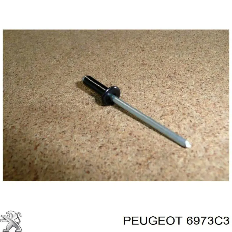 6973C3 Peugeot/Citroen Автомобільне скло
