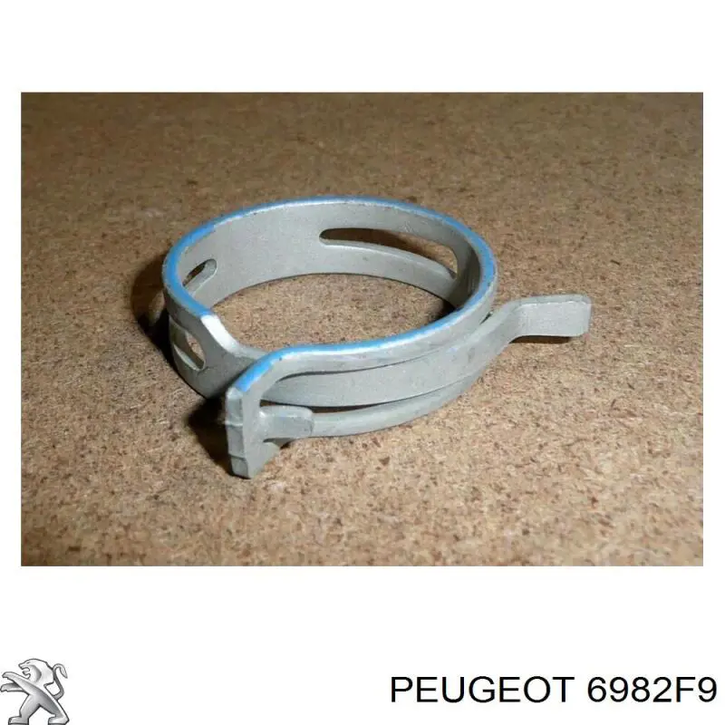 6982F9 Peugeot/Citroen 