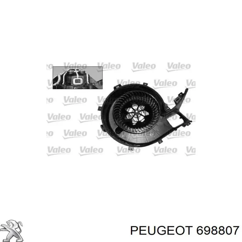 698807 Peugeot/Citroen 
