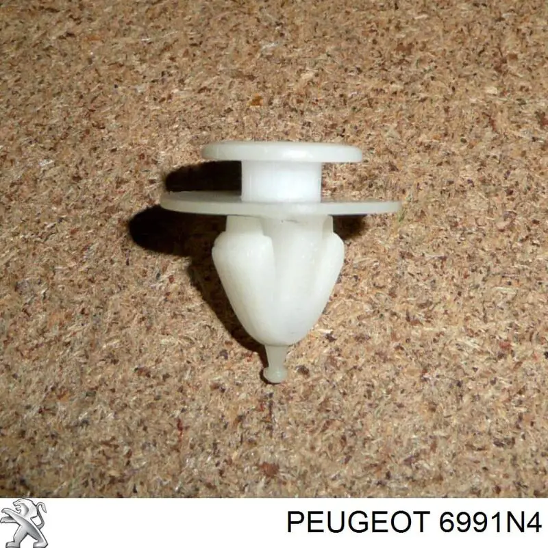6979C6 Peugeot/Citroen 