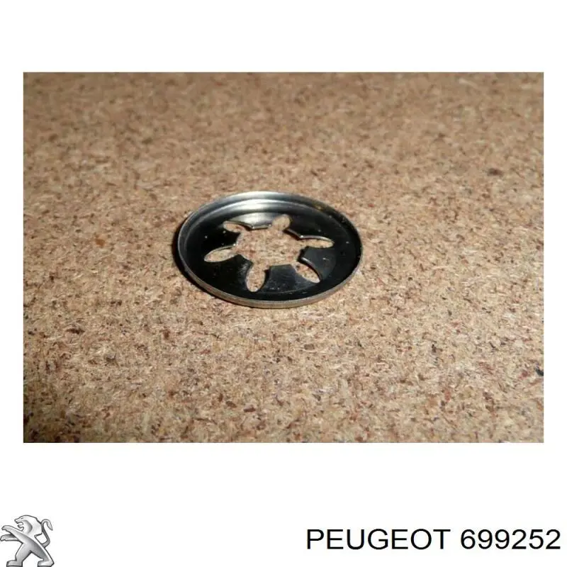 699252 Peugeot/Citroen 